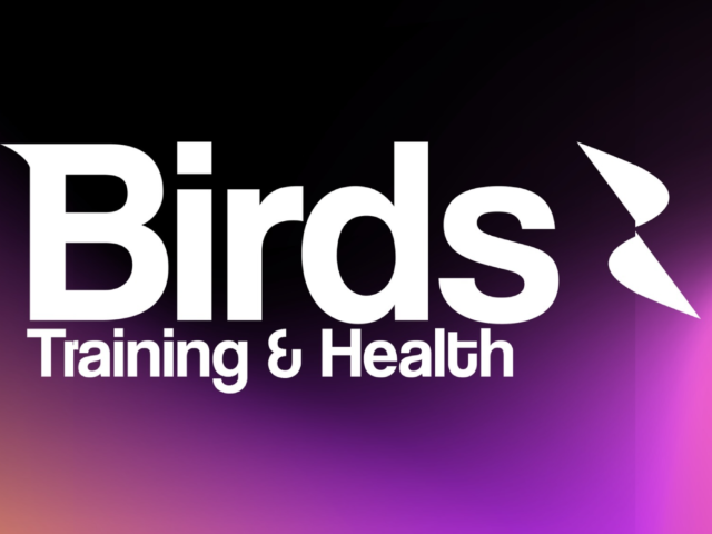 Birds Training